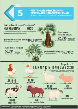 PERTANIAN, PERKEBUNAN, PETERNAKAN DAN PERIKANAN