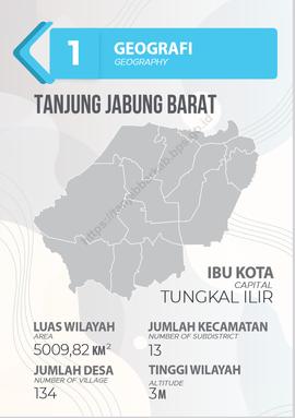 GEOGRAFI KABUPATEN TANJUNG JABUNG BARAT